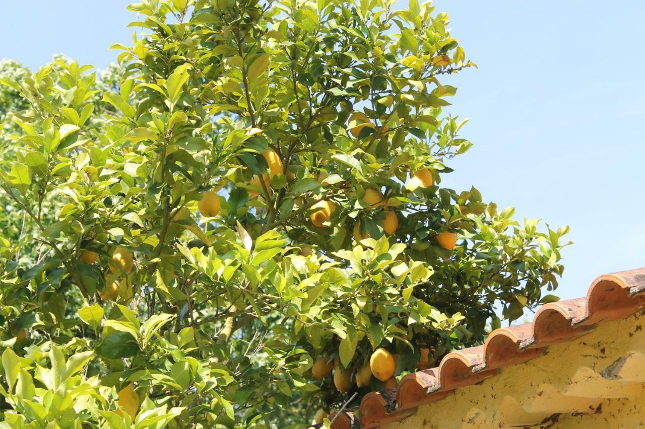 Quinta Do Outeiro Vila Nova de Poiares